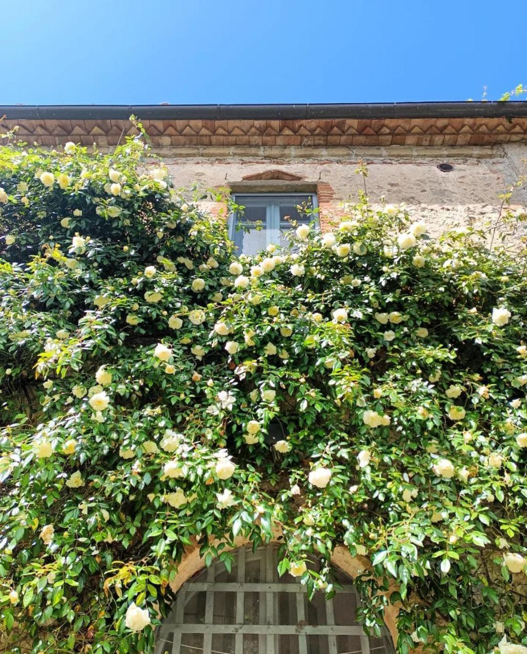 Il Poggio Di Teo Villa Manciano Exterior foto