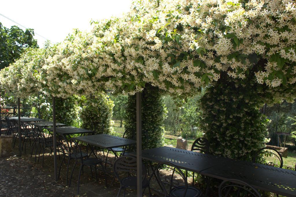 Il Poggio Di Teo Villa Manciano Exterior foto